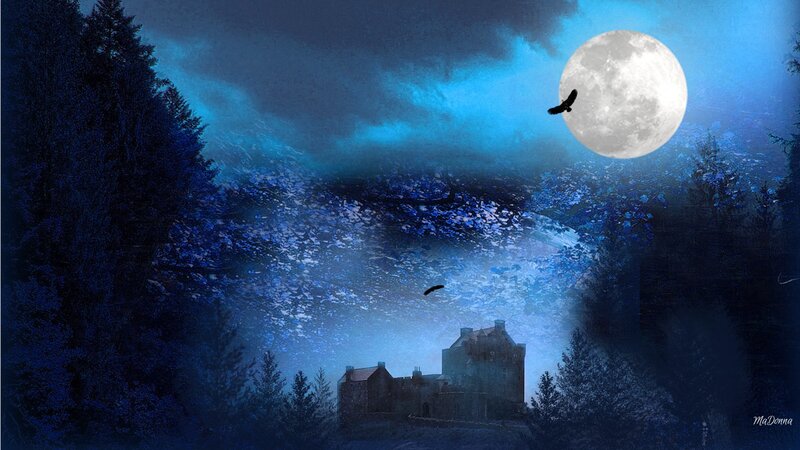 Castle in Forest at Night