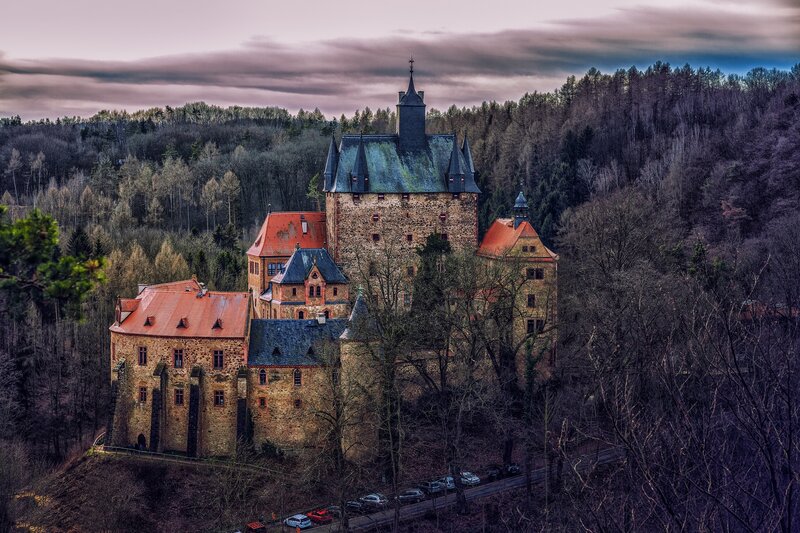 Castle in Forest — Brown, Dramatic