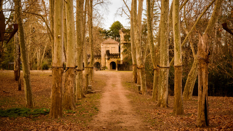 Castle in Forest — Brown