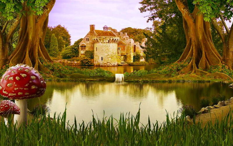 Castle in Forest Pond