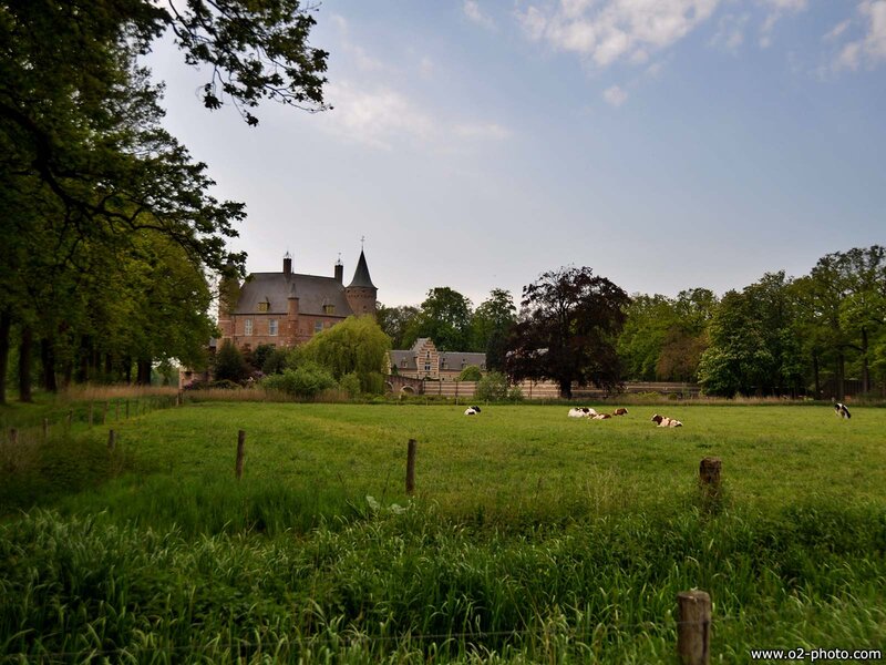 Castle in Green Field