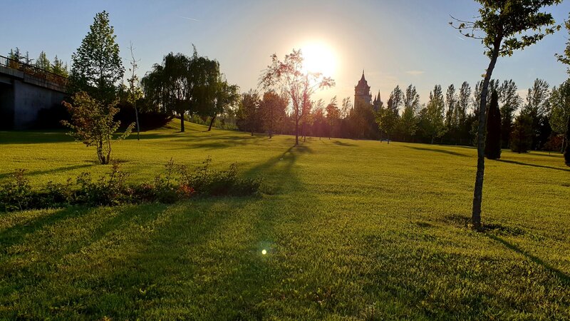 Castle in Park at Sunset