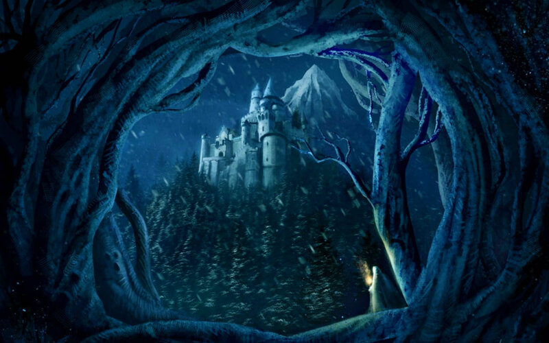 Castle in Snowy Forest