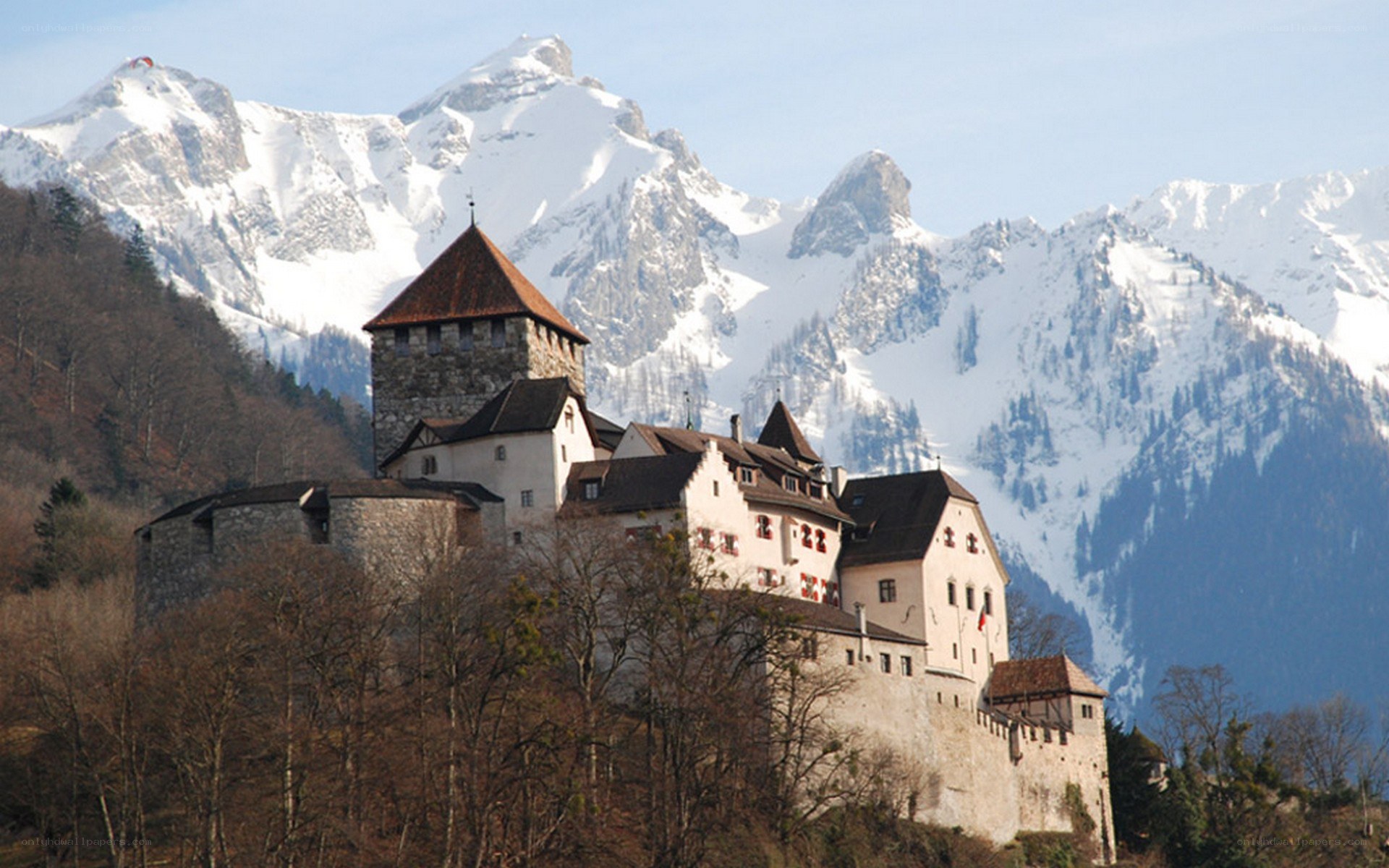 Castle in the Alps