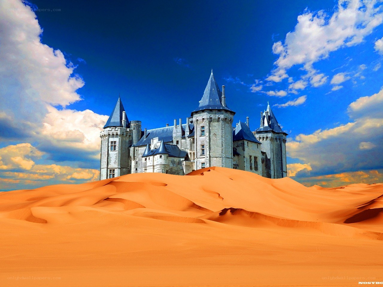 Castle in the desert