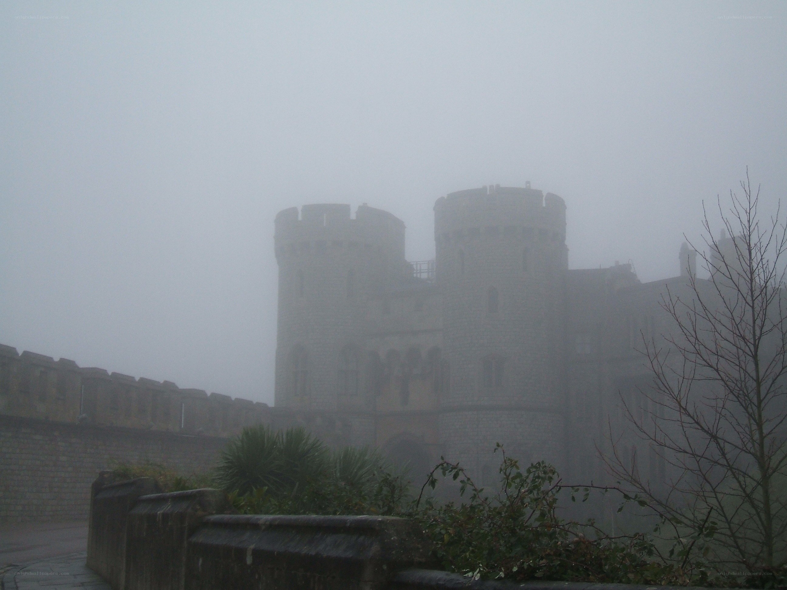 Castle in the fog