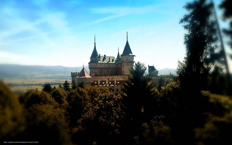 Castle in the forest