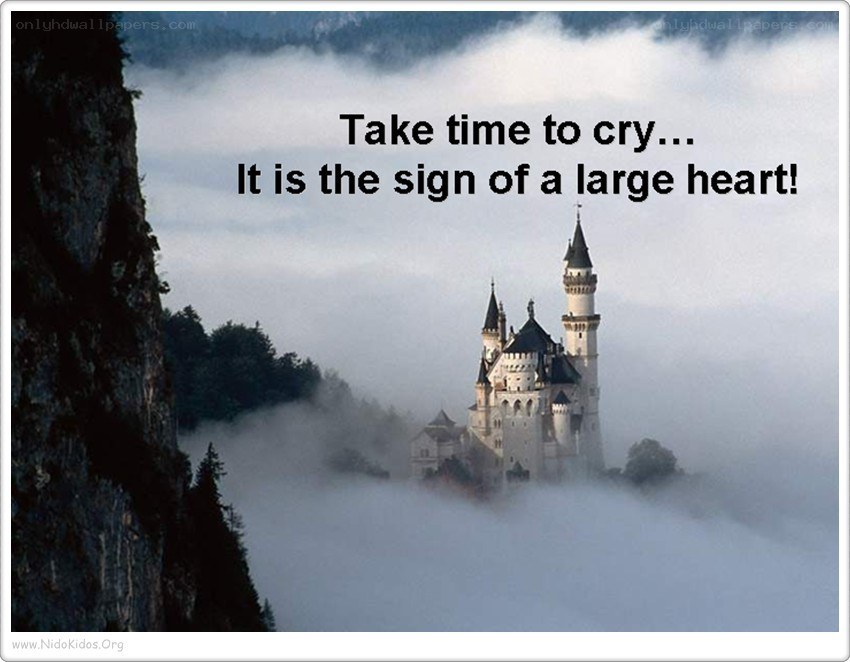 Castle in the mist
