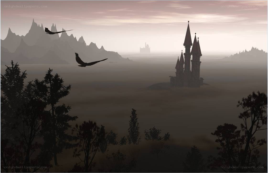 Castle in the misty valley