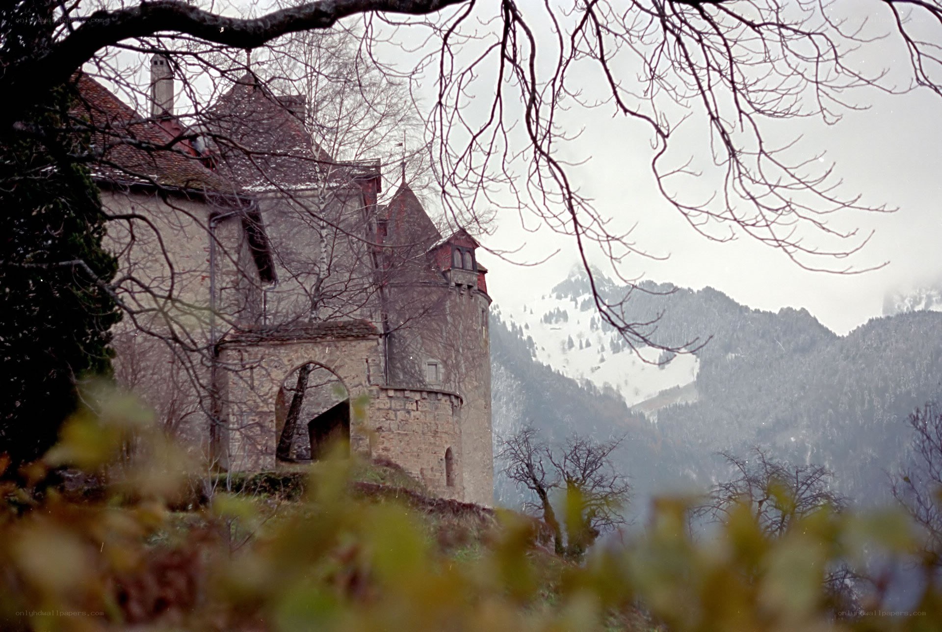 Castle in the mountains