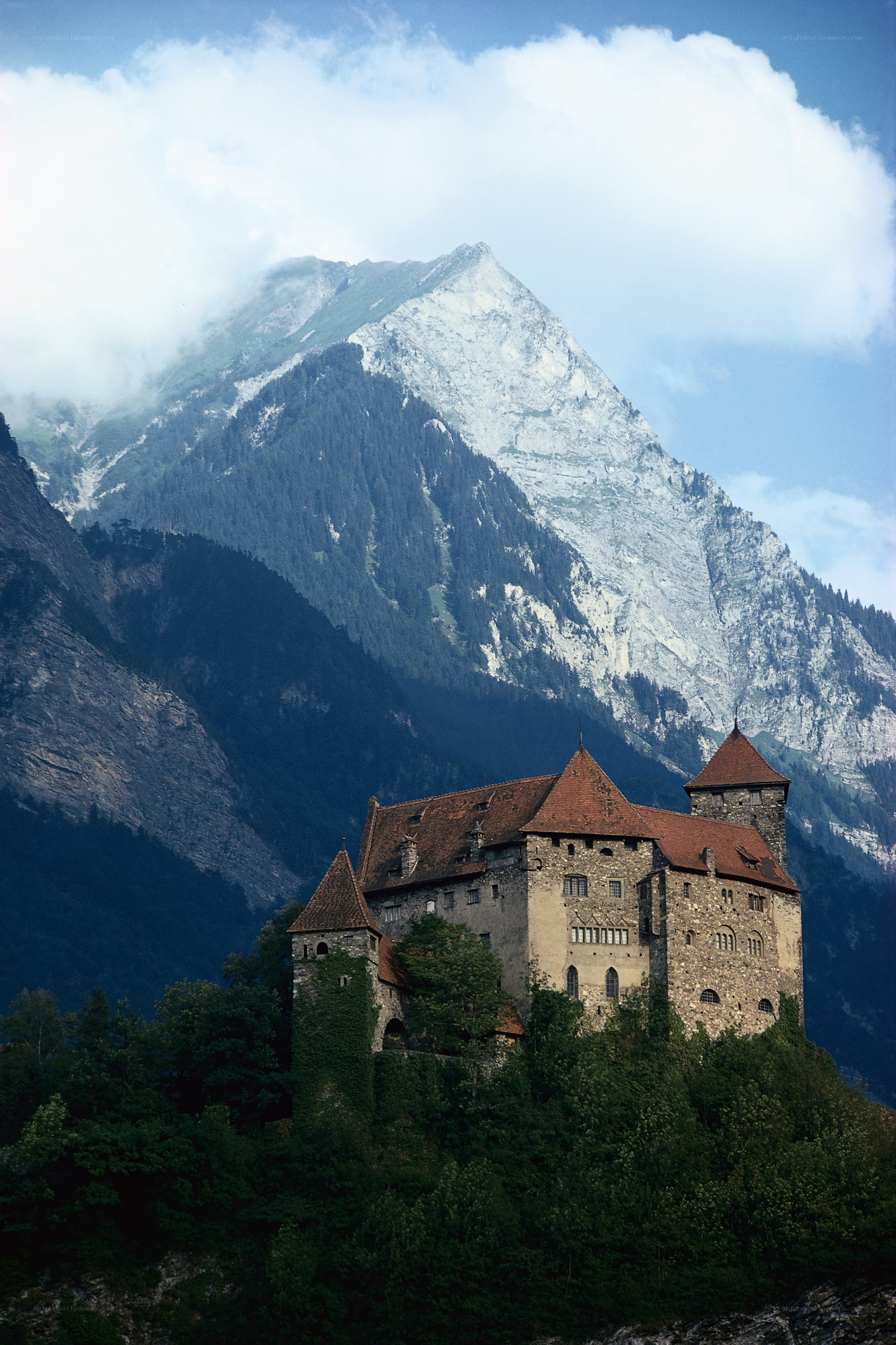 Castle in the mountains