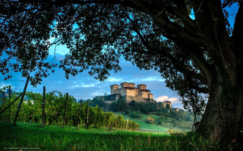 Castle in the vineyard