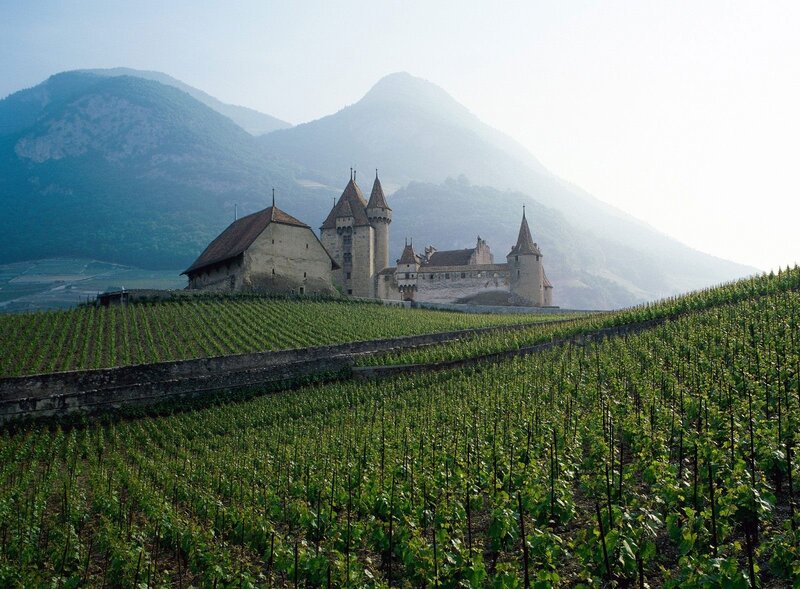 Castle in Vineyard — Green, Serene, Morning, Photograph, Mountains