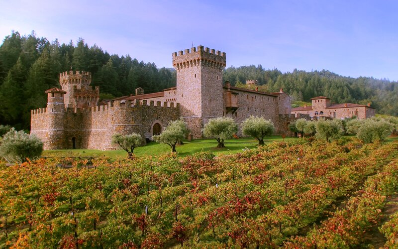 Castle in Vineyard — Green, Serene