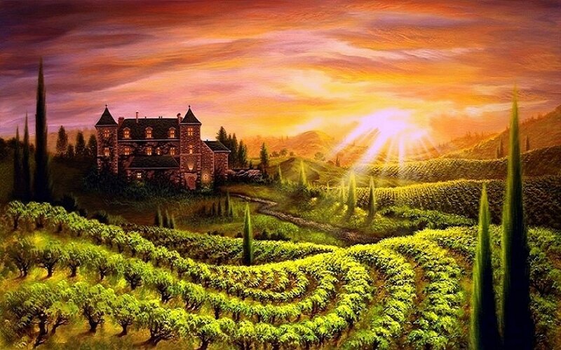 Castle in Vineyard — Green