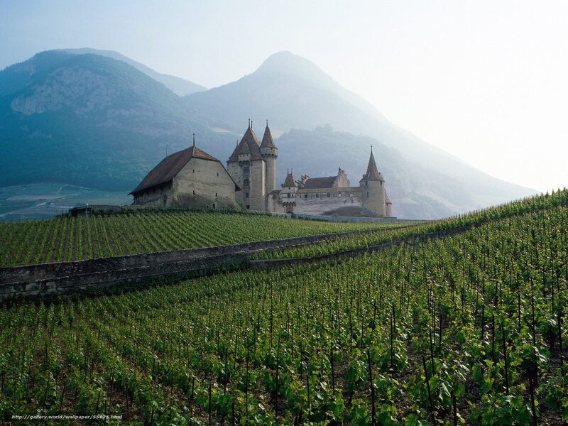 Castle in vineyard landscape