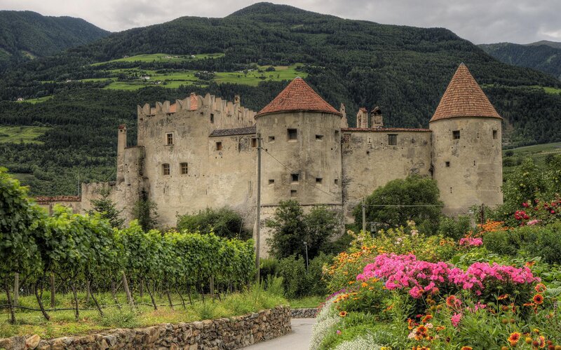 Castle in Vineyard