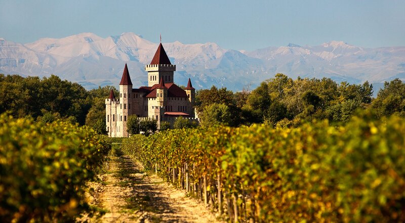 Castle in vineyard with mountains