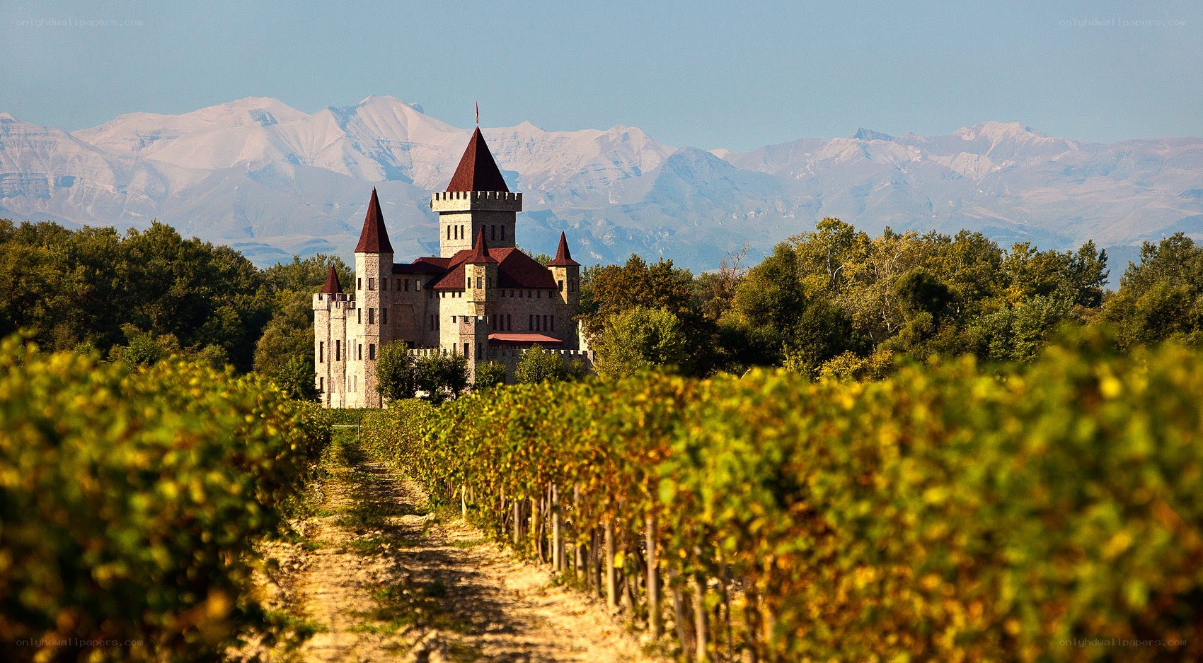 Castle in vineyard with mountains