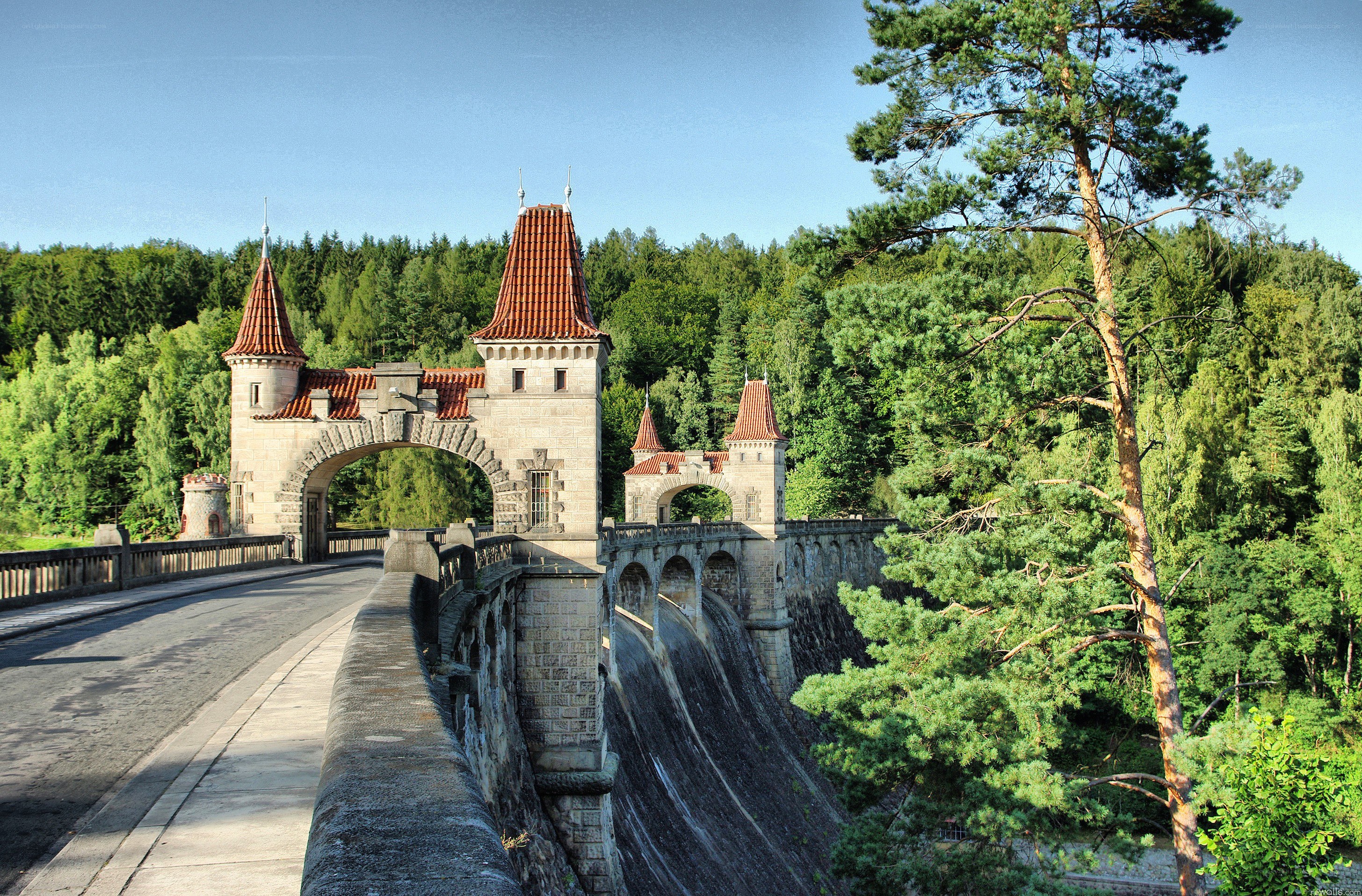 Castle-like dam in a forest