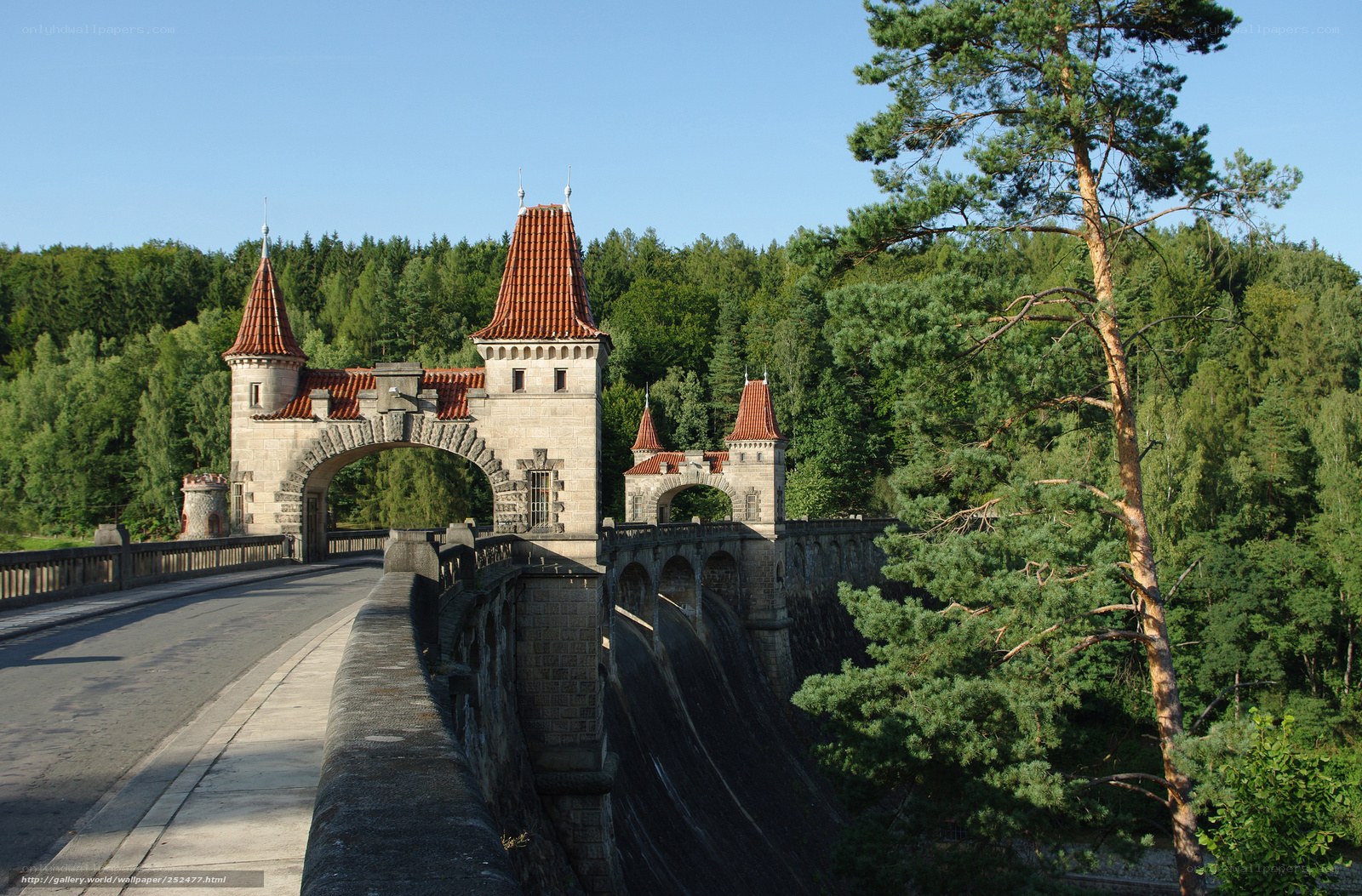Castle-like dam in forest