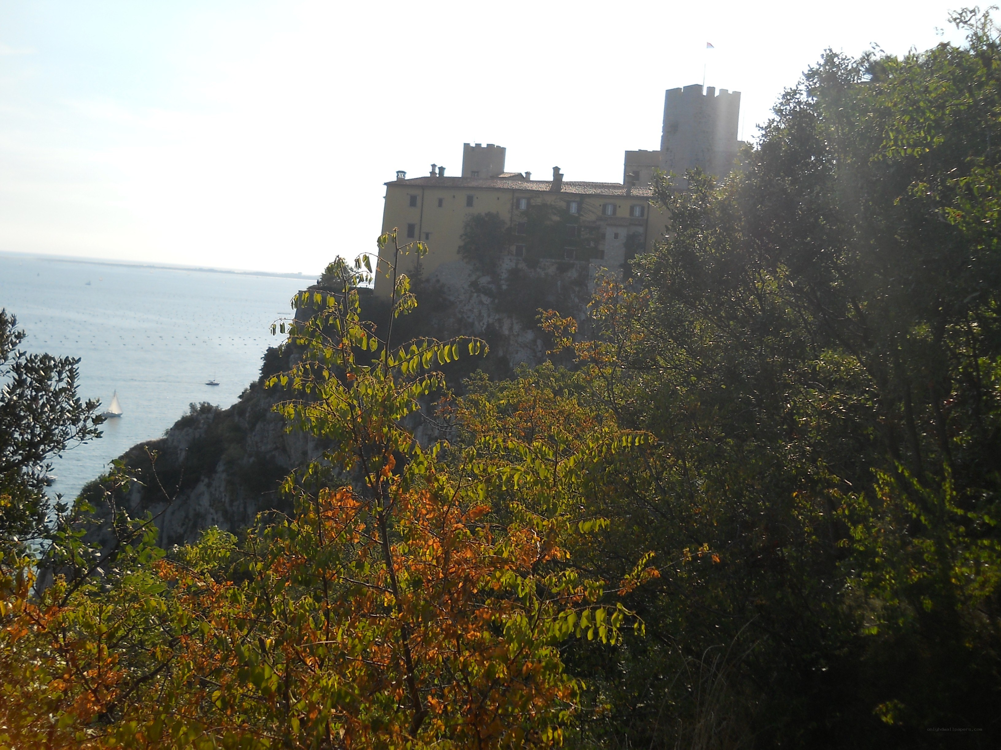 Castle on a coastal cliff