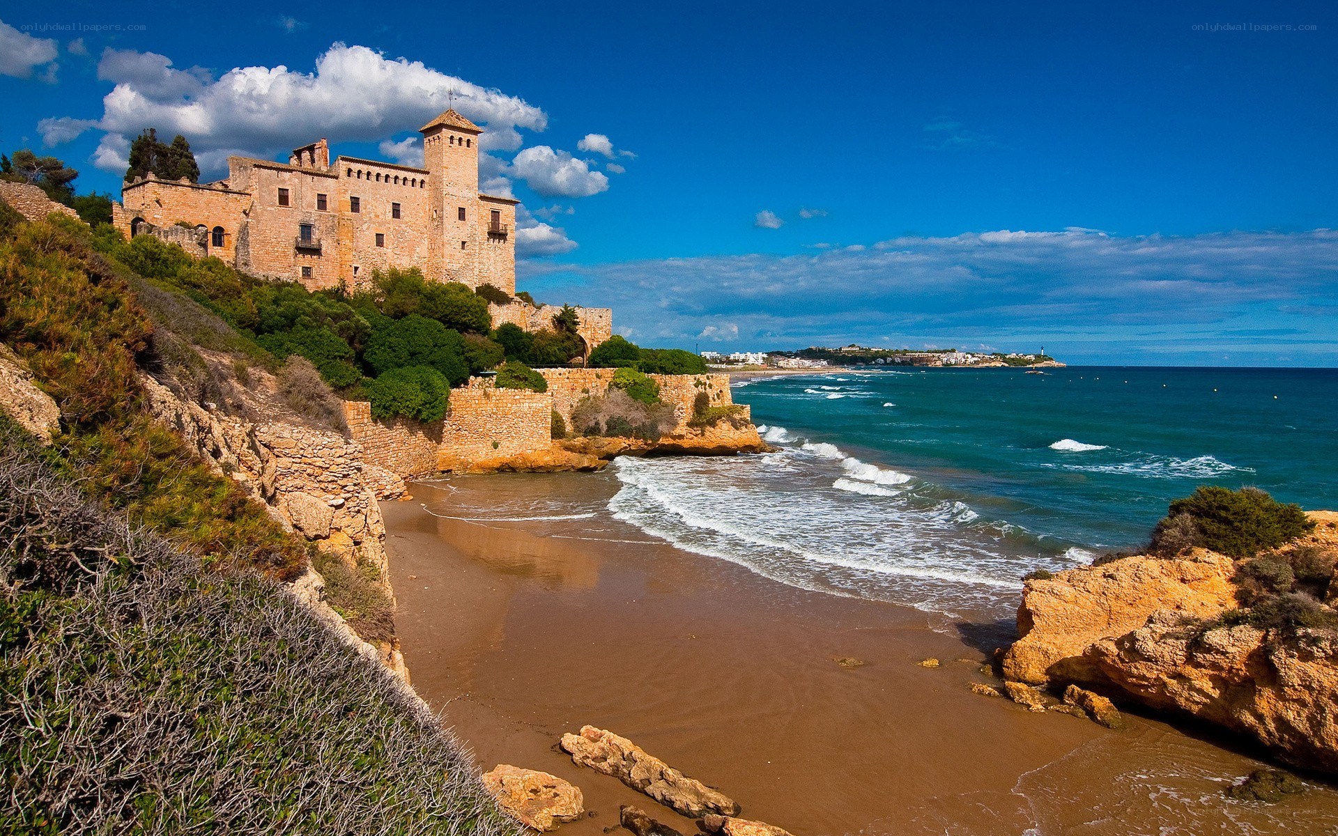 Castle on a coastal cliff