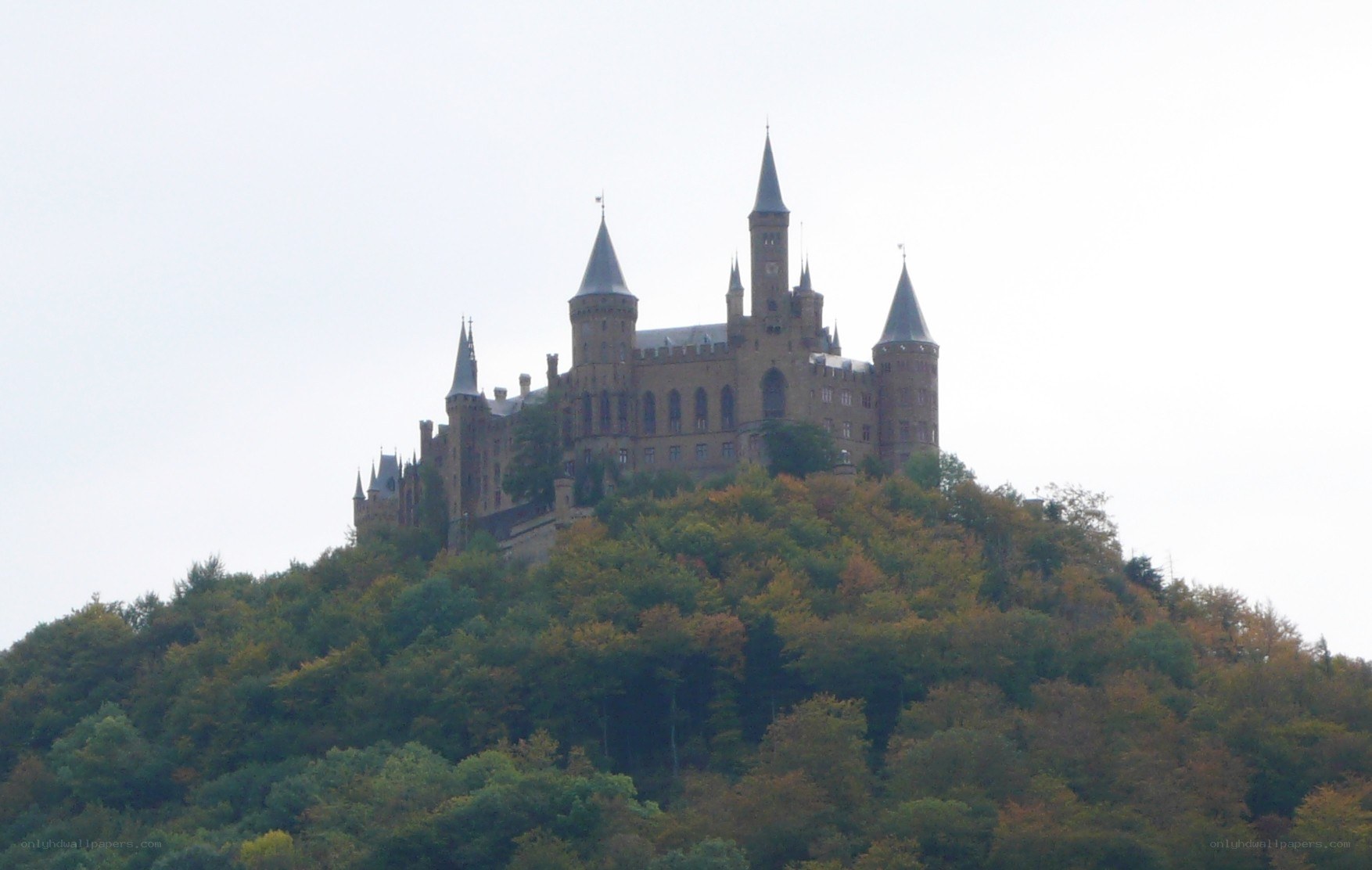 castle on a forested hill