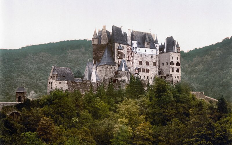 Castle on a forested hill