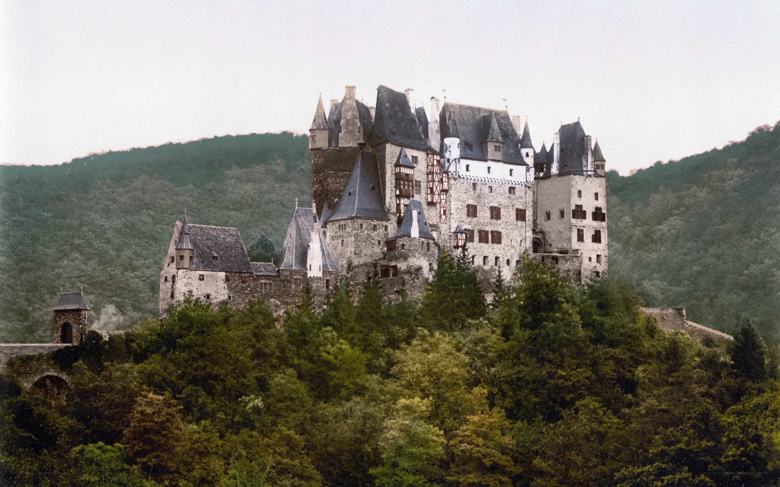 Castle on a forested hill