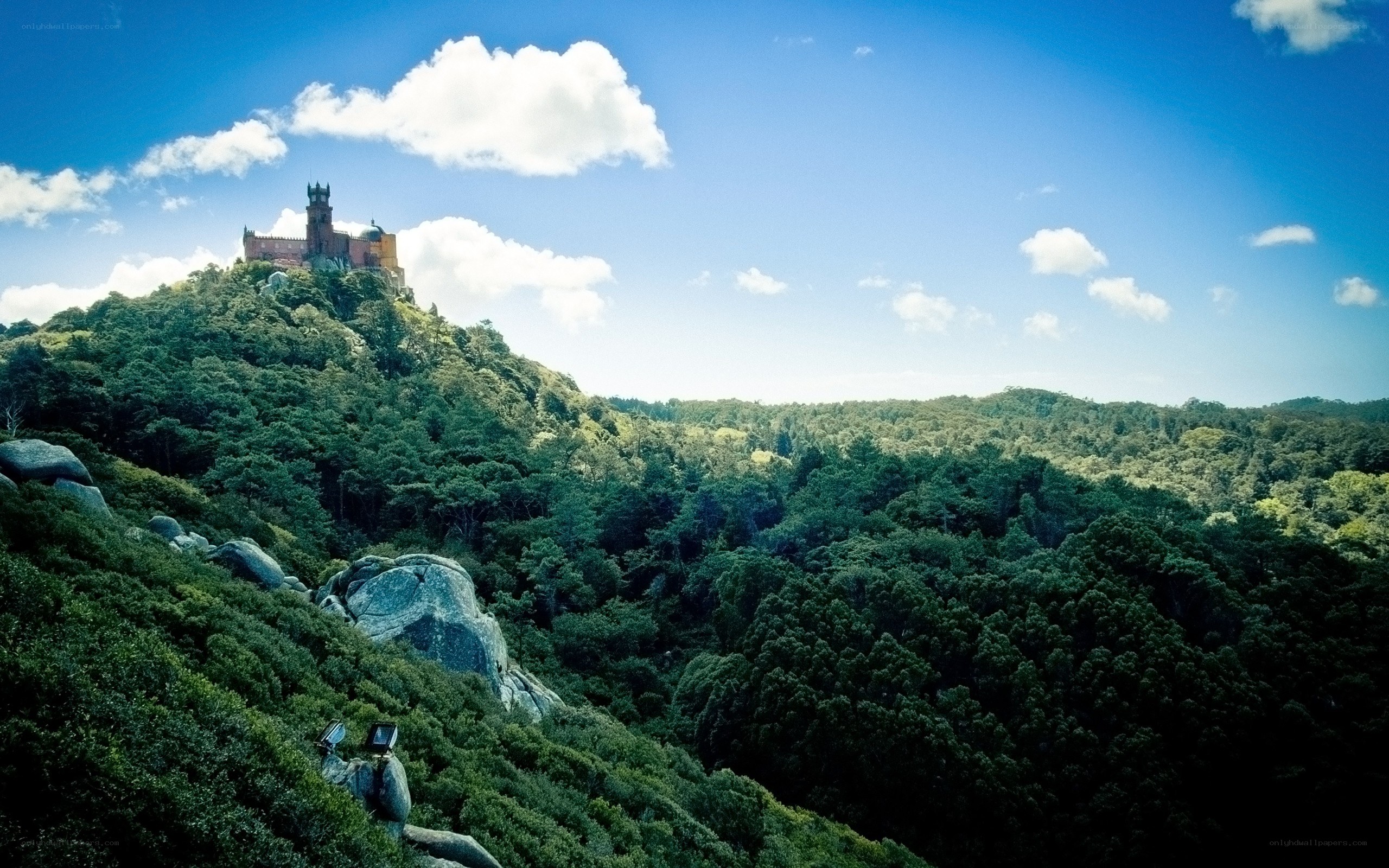 castle on a forested hill