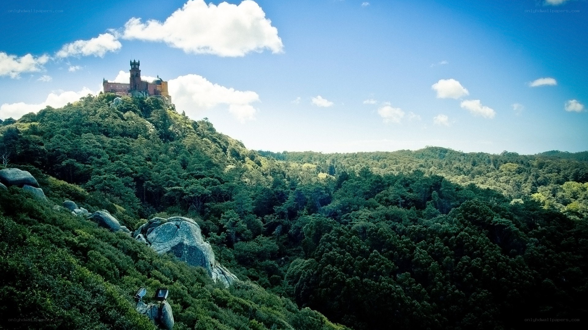 castle on a forested hill