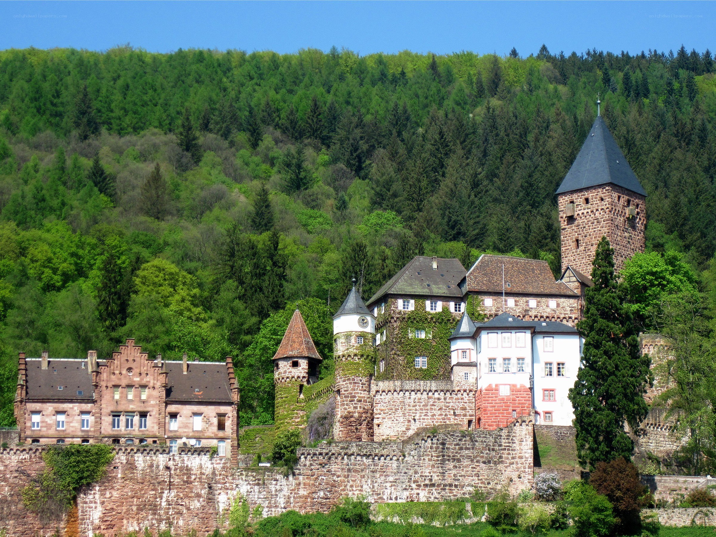 castle on a forested hill