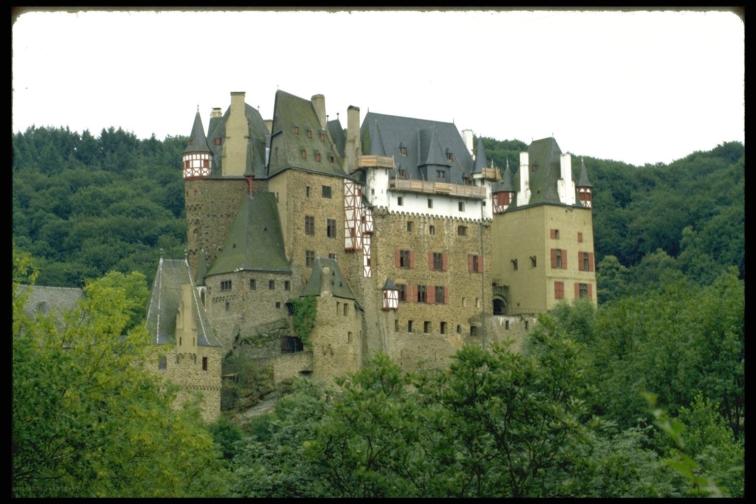 Castle on a forested hill