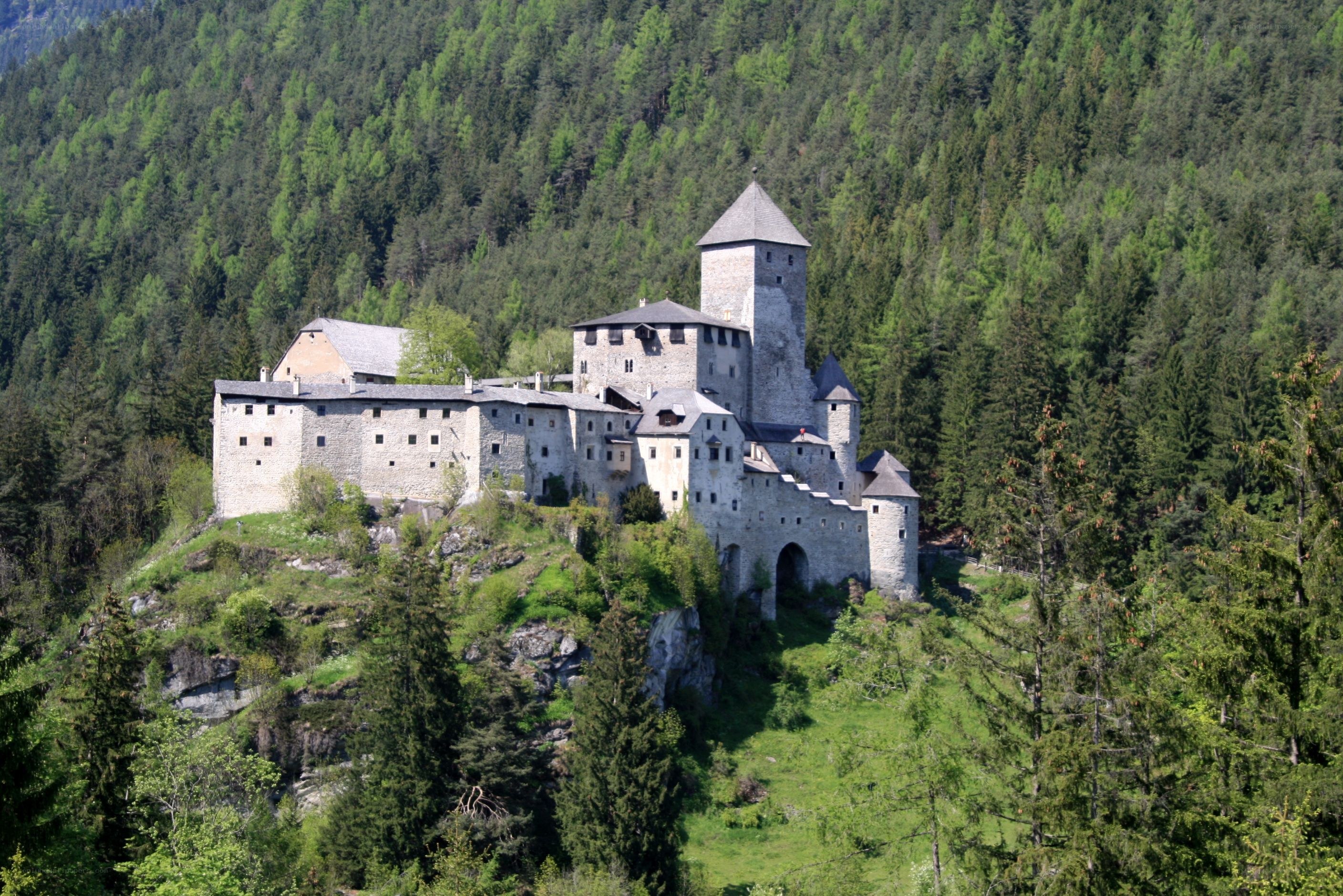 Castle on a forested hill
