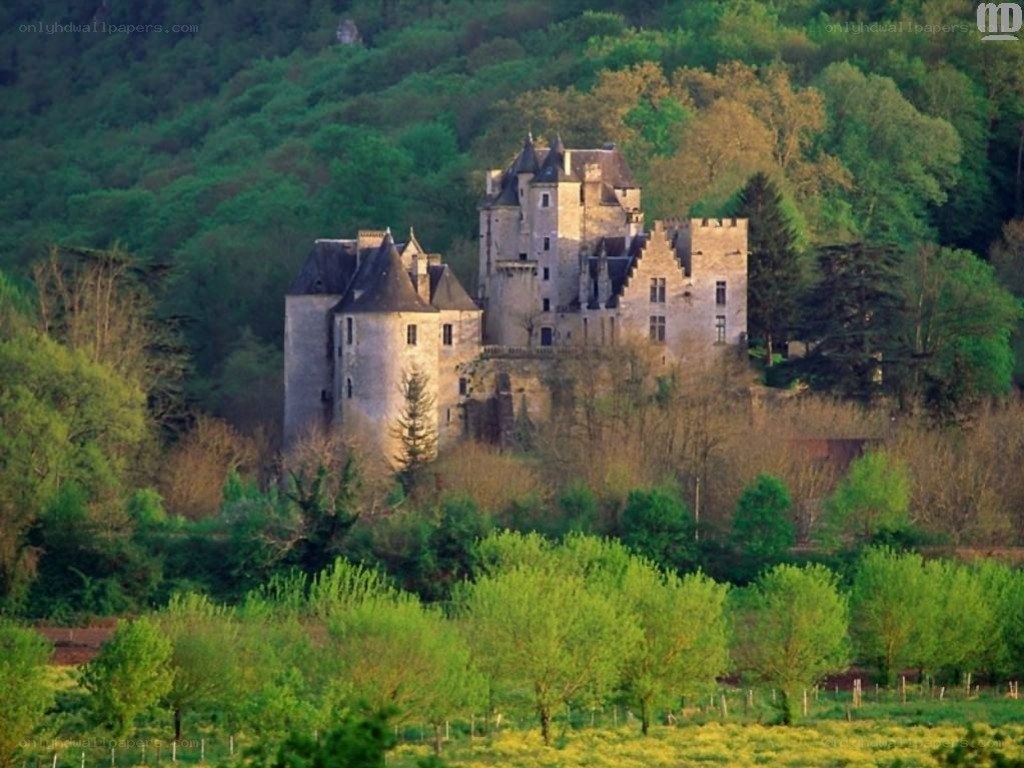 castle on a forested hill