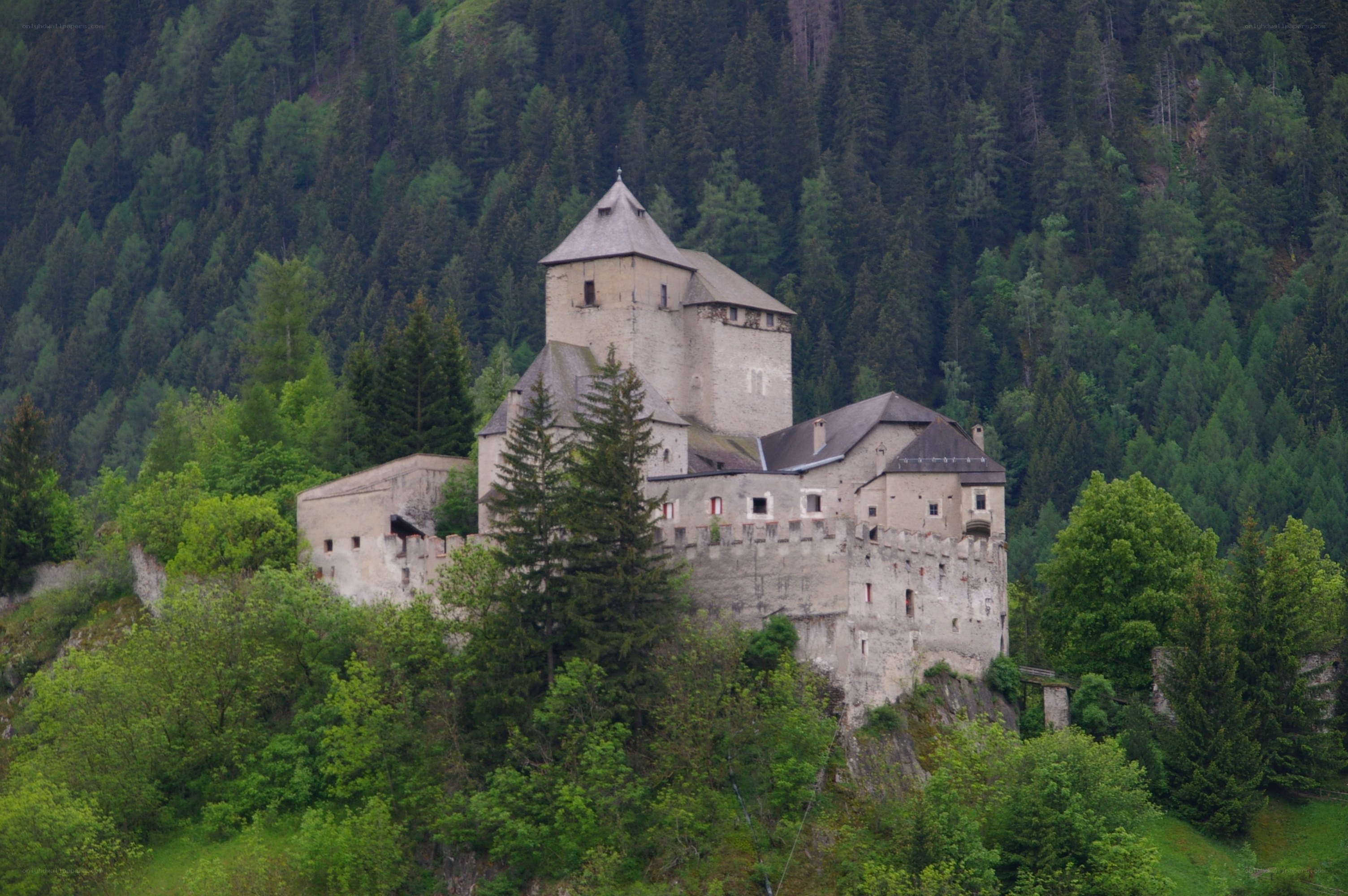 castle on a forested hill