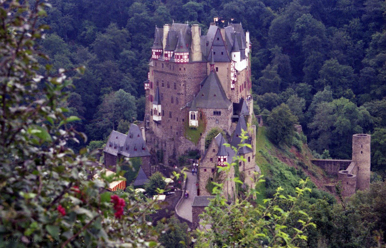 Castle on a forested hill