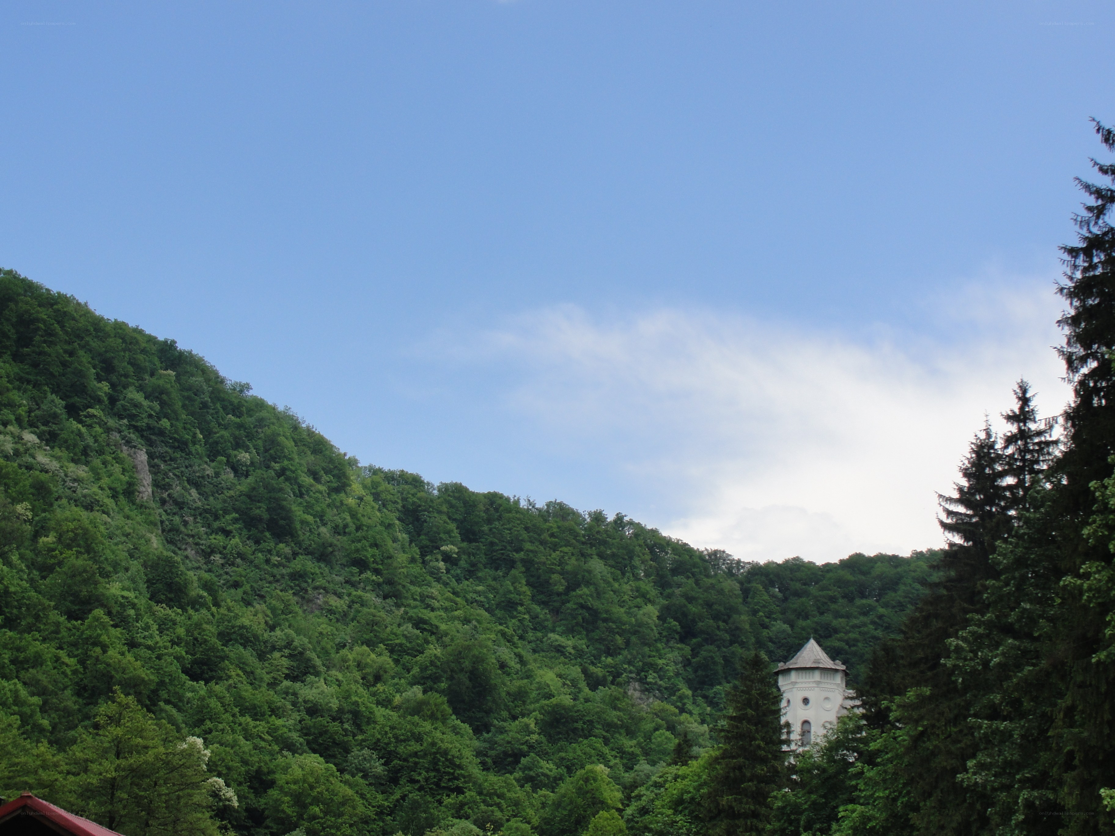 Castle on a forested hill