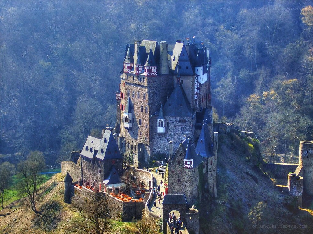 Castle on a forested hill