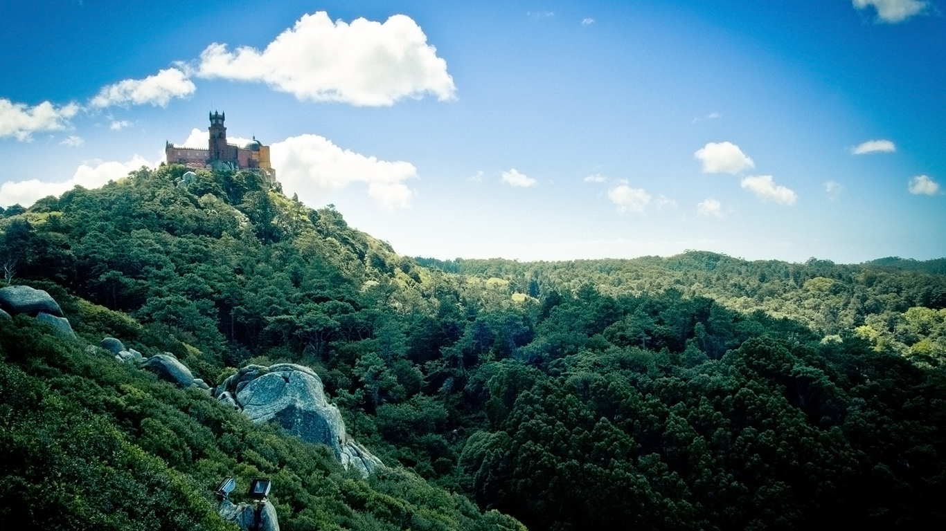 castle on a forested hill