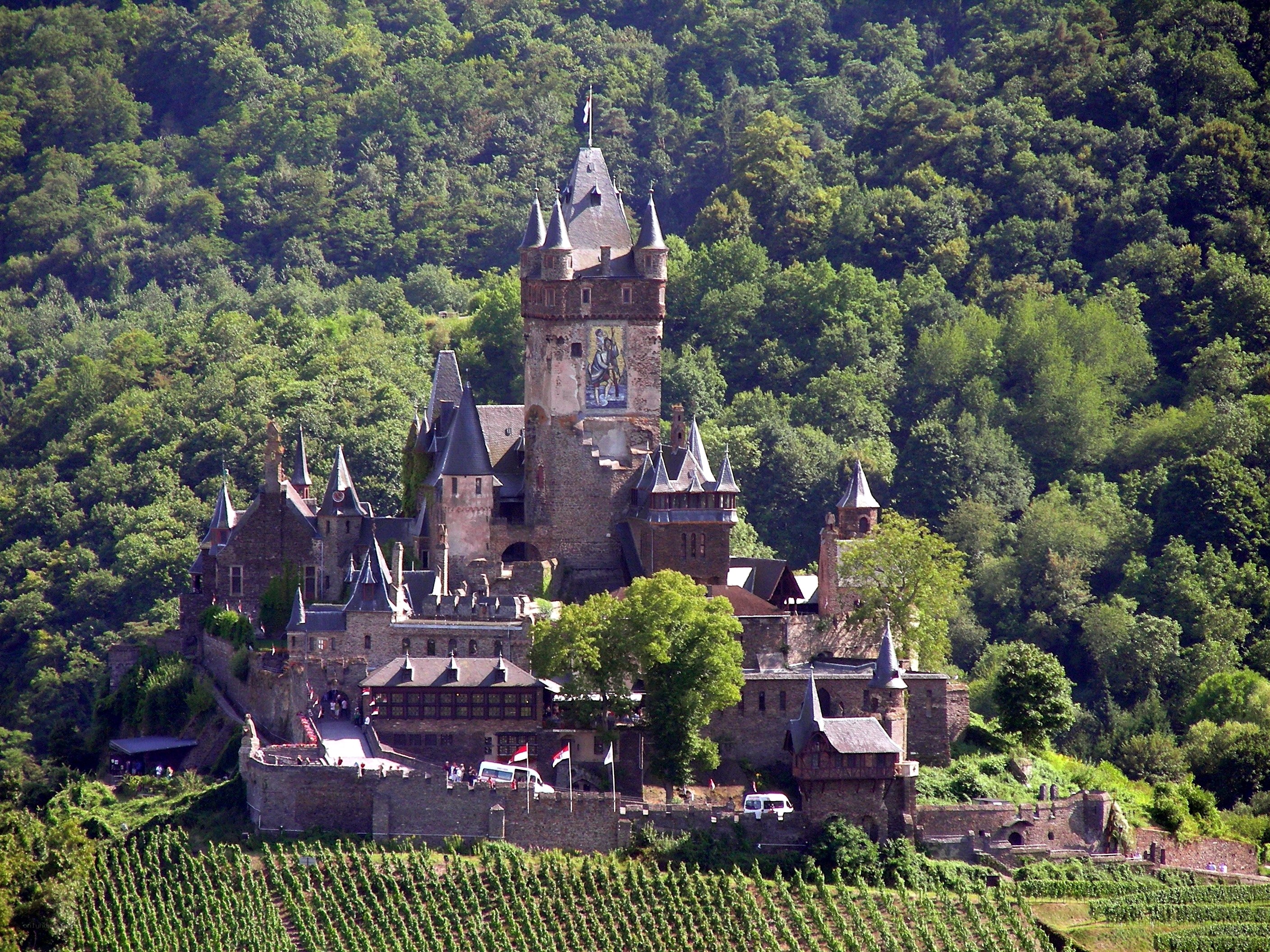 Castle on a forested hill