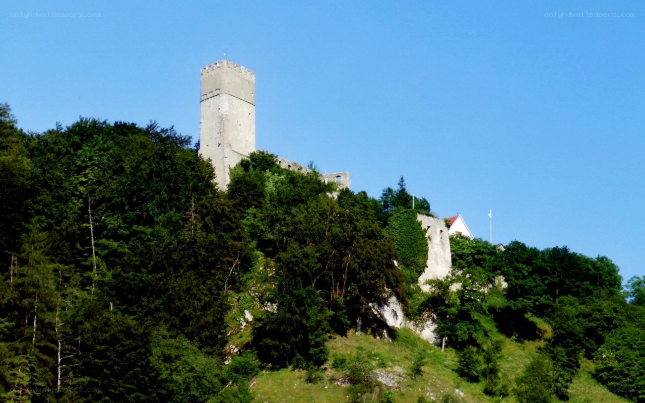 castle on a forested hill