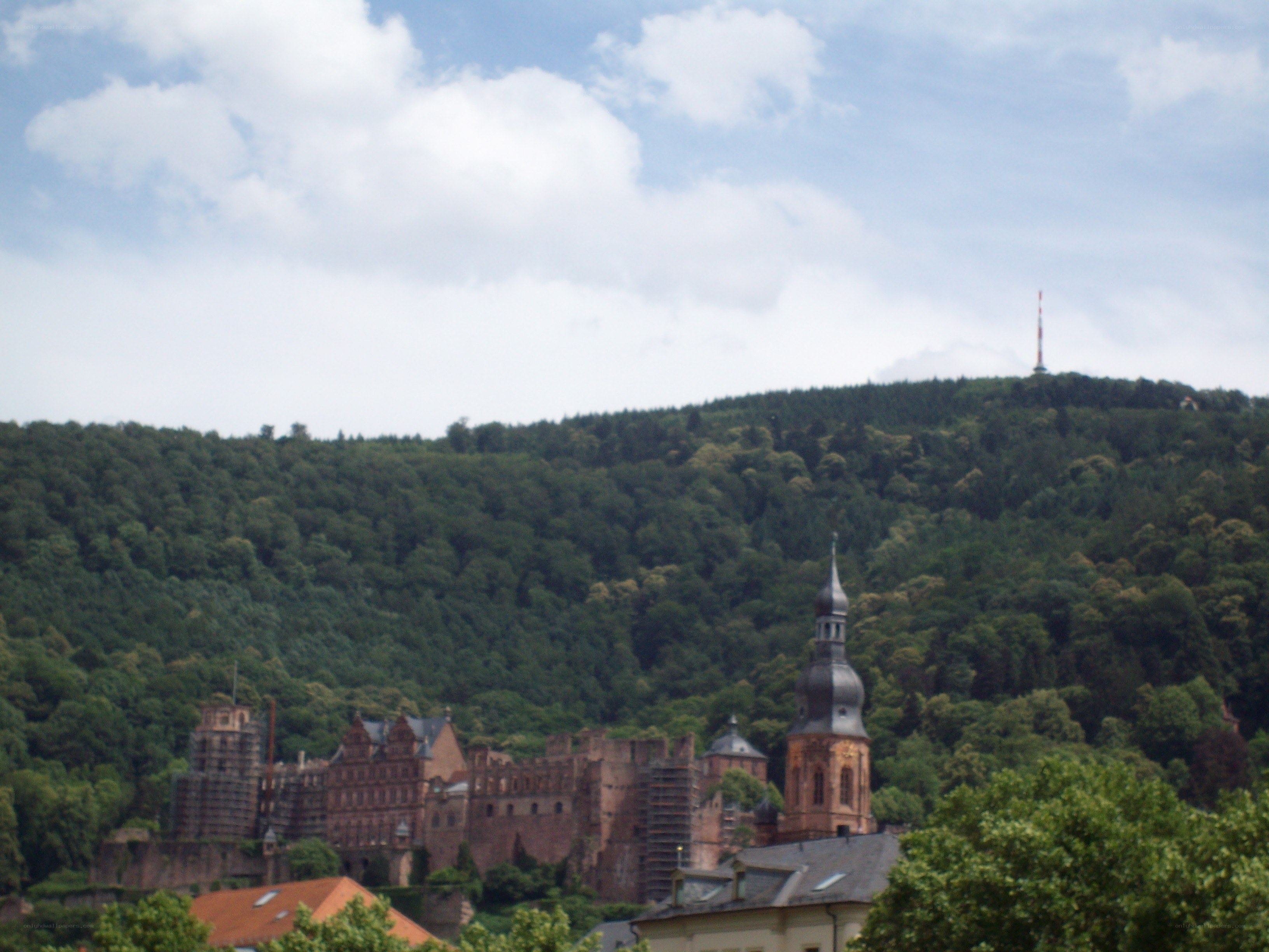 castle on a forested hill