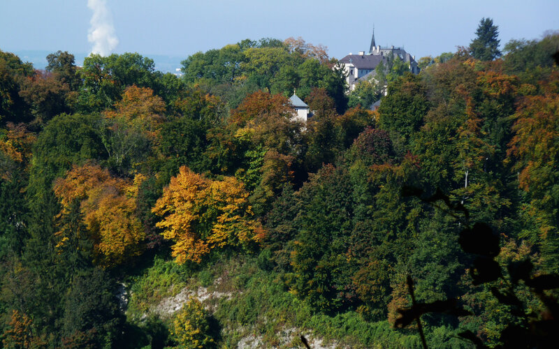 Castle on a Forested Hill — Green, Serene