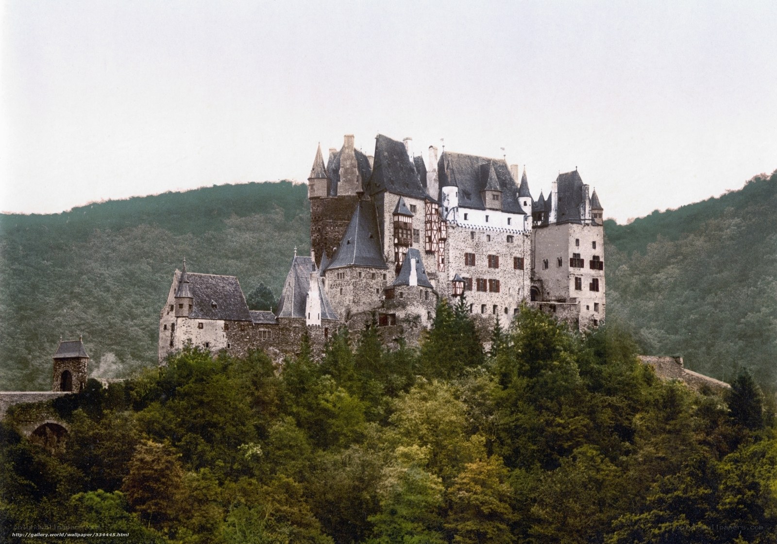 Castle on a forested hill