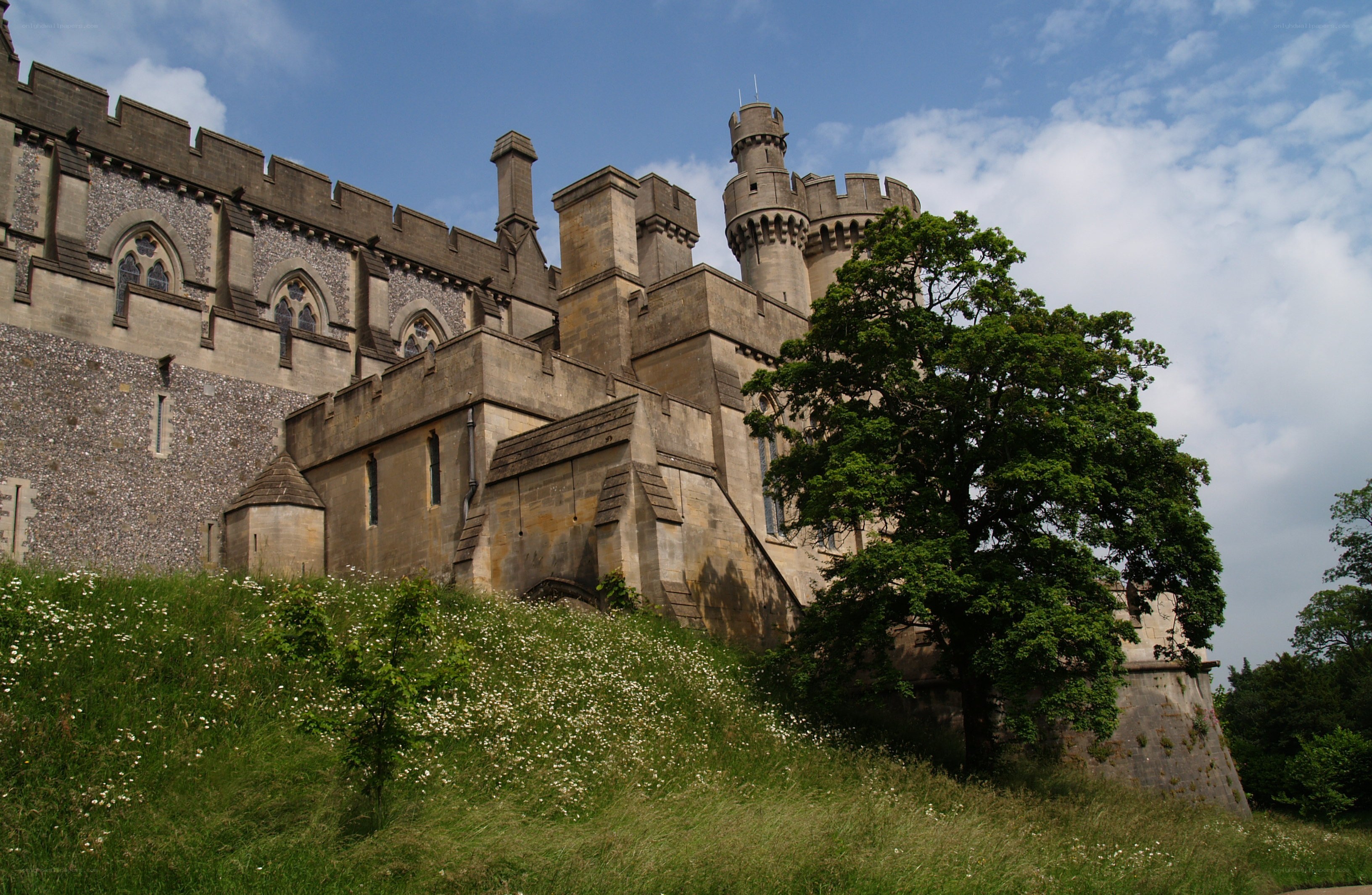 castle on a grassy hill