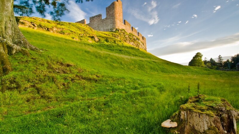 Castle on a Grassy Hill — Green