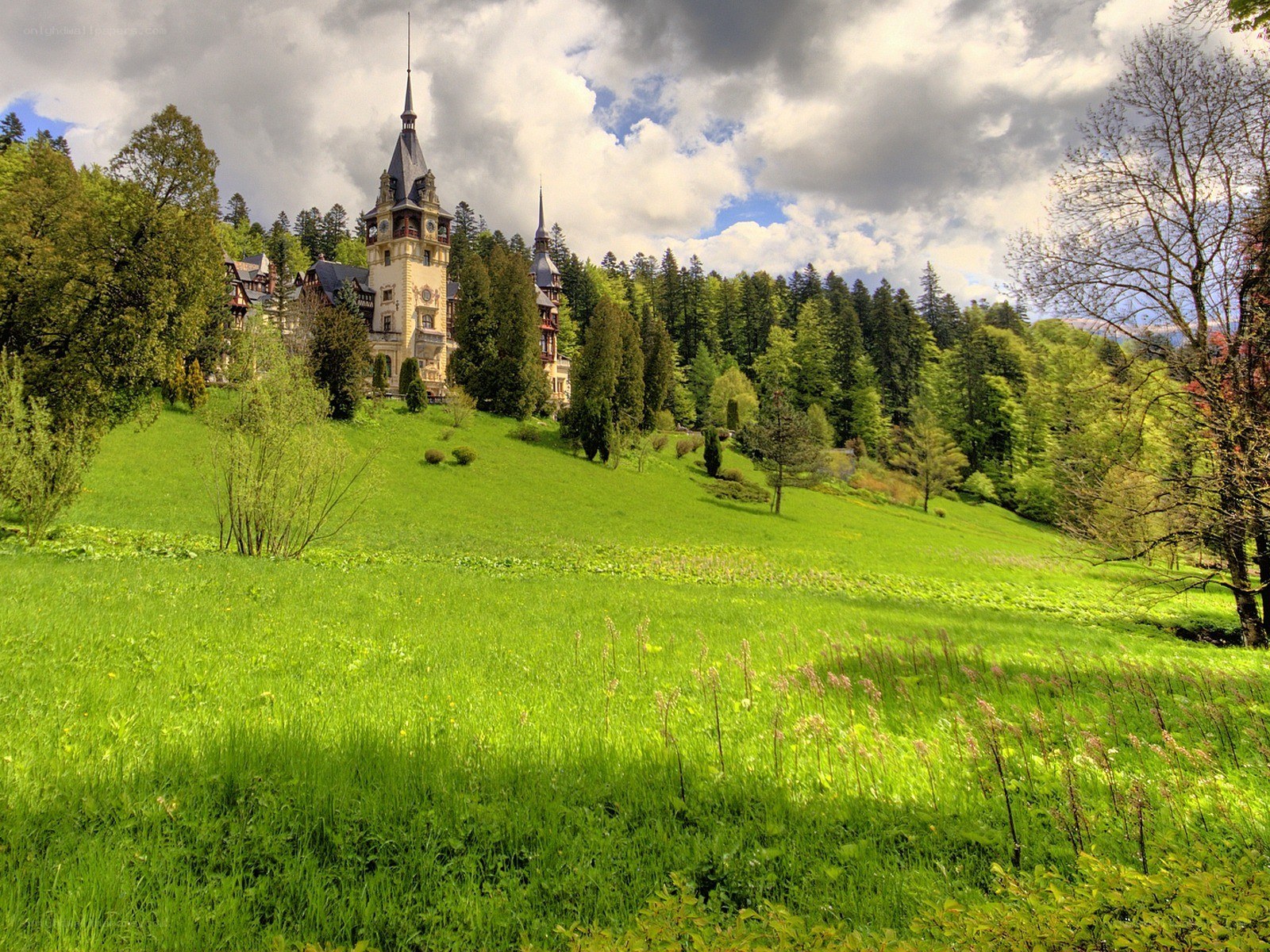castle on a green hill