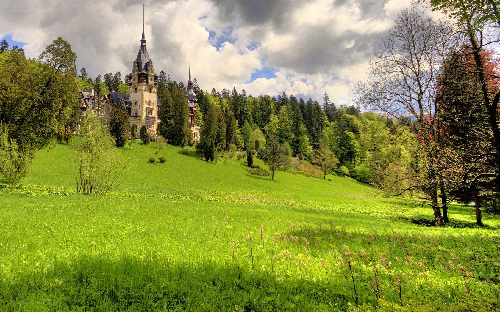 Castle on a green hillside